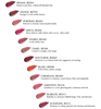 Shiseido Makeup Lacquer Rouge VI 418 Diva Long lasting Moisturising Lipstick and Stain