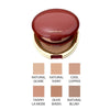 Shiseido Makeup Moisture Mist Compact Foundation 05 Natural Blush (Shiseido). Limited Edition