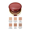 Shiseido Makeup Moisture Mist Compact Foundation 13 Natural Ochre (Shiseido). Limited Edition