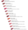 Shiseido Makeup Shiseido Lacquer Rouge RD321 Ebi Long lasting Moisturising Lipstick and Stain