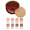 Shiseido Makeup SHISEIDO SUBSTITUTE FOR Moisture Mist Beauty Cake 156 Honey