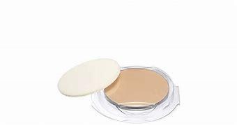 Shiseido Makeup SHISEIDO SUBSTITUTE FOR Moisture Mist Powdery Foundation Refill - Bahama Brown