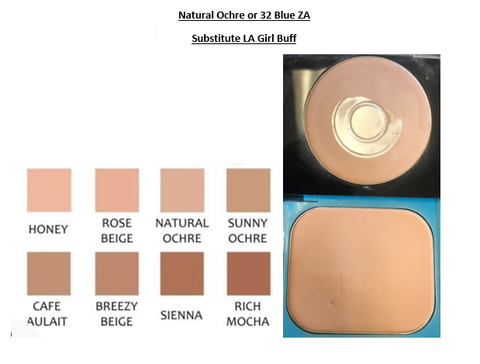 Moisture Mist Compact Foundation 05 Natural Blush SHISEIDO SUBSTITUTE